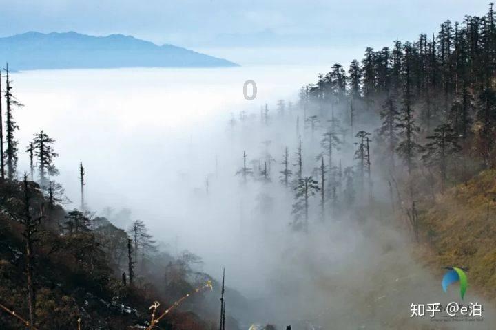 考生没有能够填报的批次是什么意思？游戏画面